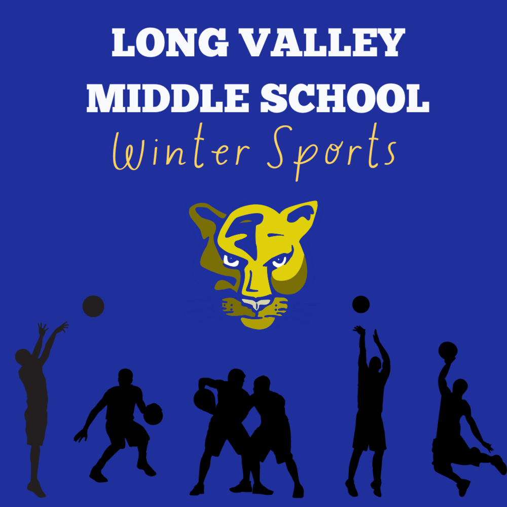 Winter Sports Banner 1