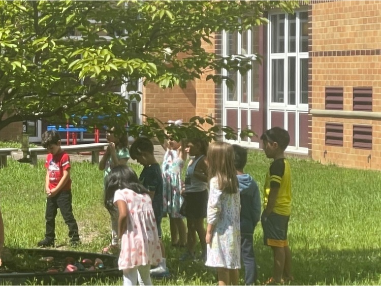 Students observing the tree.  