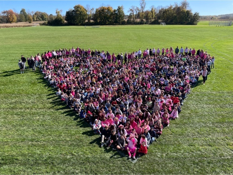 LVMS Pink Out 2022